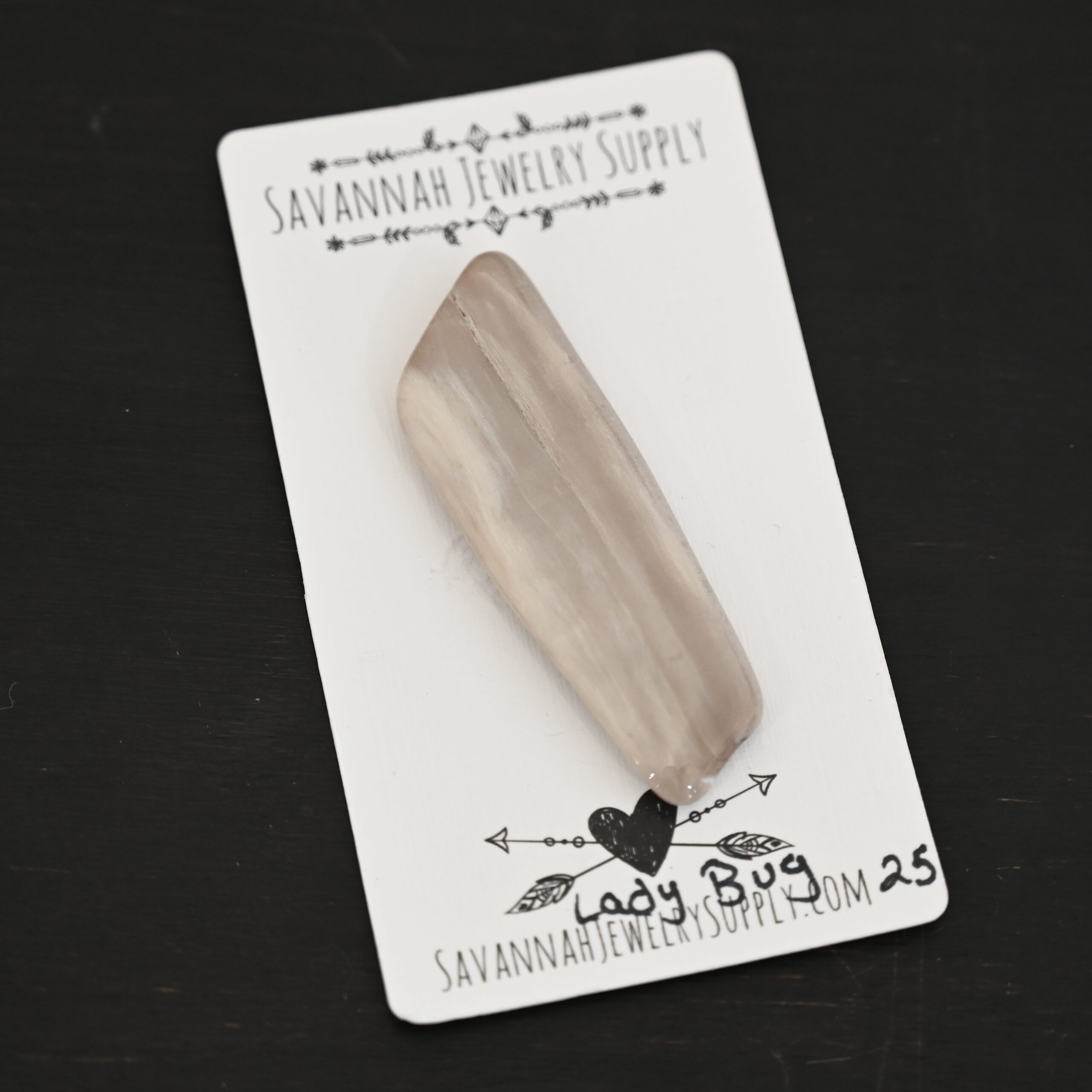 Lady Bug Fossilized Wood Cabochon shown on business card