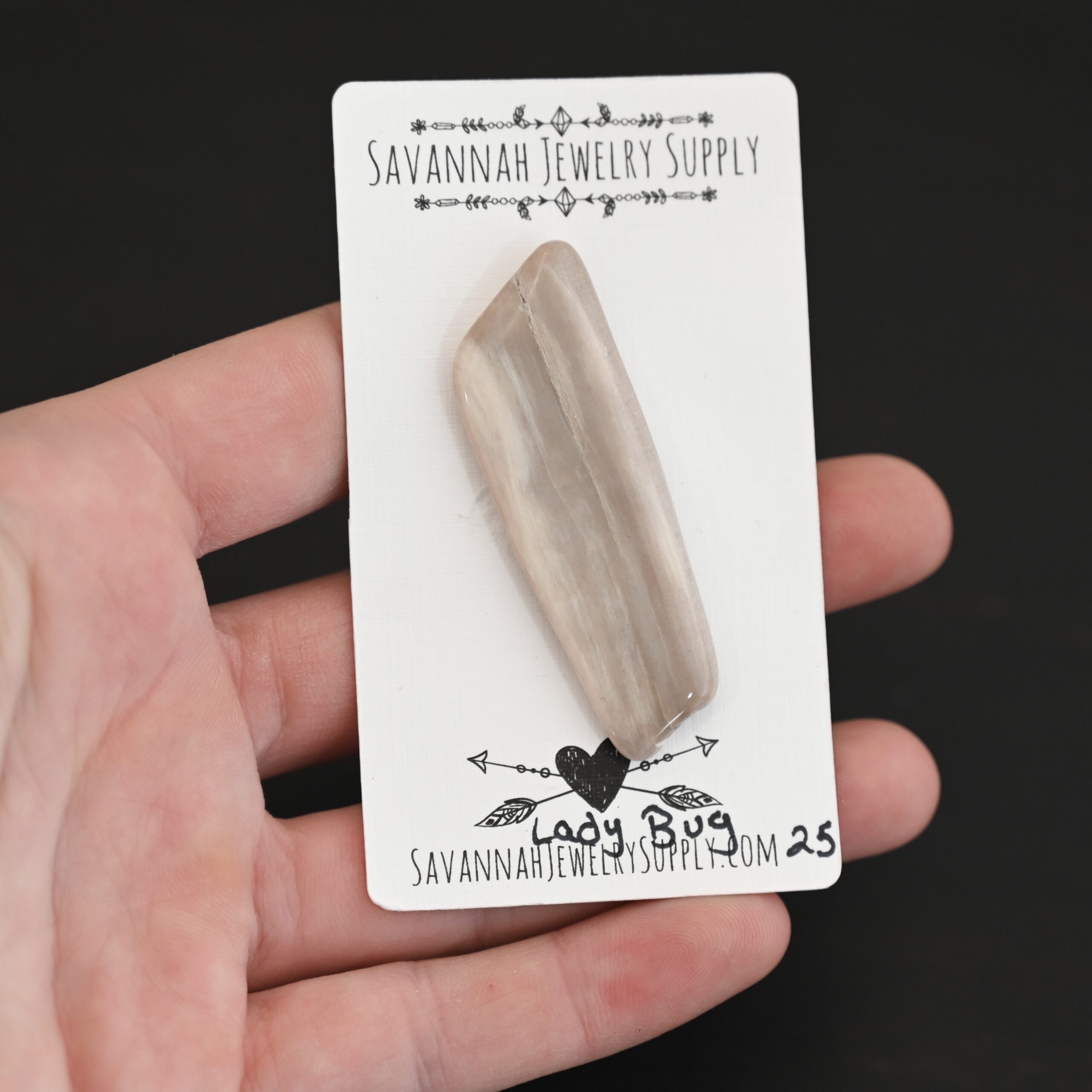 Lady Bug Fossilized Wood Cabochon shown in hand