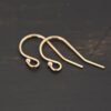 14k Gold Filled Wilma Ear Wires shown on dark background