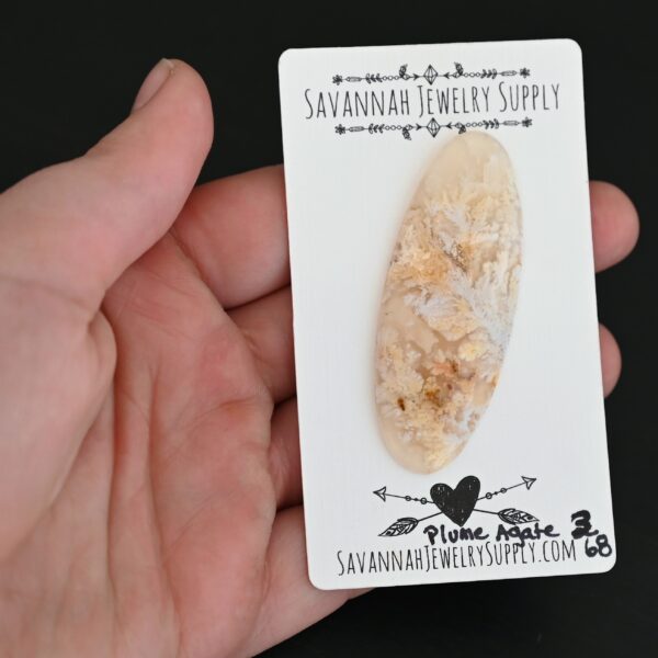 Plume Agate #3 Cabochon shown in hand