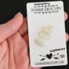 Hephaestus Rose Cut Moonstone Cabochon Parcel shown in hand
