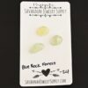 Blue Rock Forest Rose Cut Prehnite Cabochon Parcel shown on business card