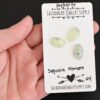 Sequoia Forest Rose Cut Prehnite Cabochon Parcel shown in hand